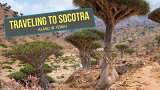 SOCOTRA Island in Yemen [upl. by Bowerman]