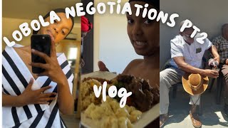 PART2 Lobola negotiations  Whole Week Vlog [upl. by Arised236]