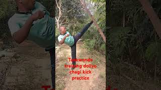 Taekwondo training music dollyo chagi kick practice [upl. by Netram]