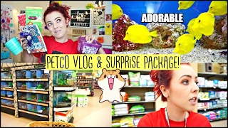 PETCO VLOG  Getting Hamster Treats cute FISH amp Reptiles  SURPRISE HAMSTER PACKAGE [upl. by Ahsilram106]