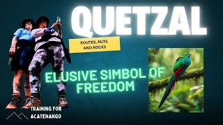 Quetzal Preserve Guatemala [upl. by Ettenal]