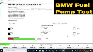 How To Test Your BMW Fuel Pump Using INPA [upl. by Cerelia]