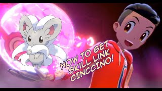 Where To Get Hidden Ability SKILL LINK CINCCINO  Pokemon Sword and Shield [upl. by Edas]