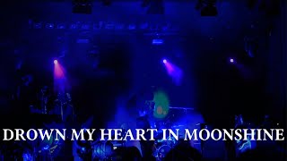 Phillip Boa amp The Voodooclub  Drown My Heart In Moonshine Official Lyric Video [upl. by Itoyj]