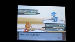 How to beat the first gym in Pokemon Platinum with your Chimchar [upl. by Suoinuj]