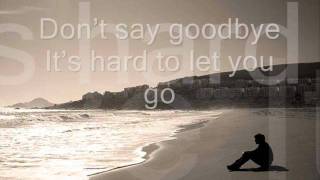 Dont Say Goodbye hard to let you go w lyrics Pops Fernandez [upl. by Yartnoed]