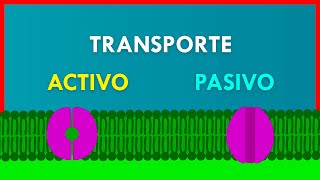 TRANSPORTE ACTIVO y PASIVO en la MEMBRANA PLASMÁTICA [upl. by Nosinned]