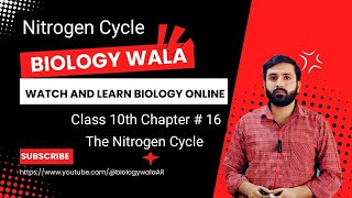 Class 10  Biology  Chapter 16  Lecture 5  Nitrogen Cycle [upl. by Terb]