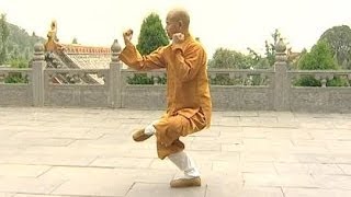 Shaolin Kung Fu Combat Styles 15 small Buddha form 小罗汉拳 xiao luohan quan [upl. by Luebke85]