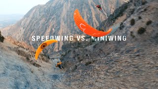 Speedwing VS Miniwing Flight [upl. by Yancey698]