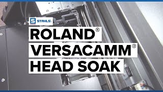 How to Perform a Head Soak for the Roland® VersaCAMM® [upl. by Luehrmann]