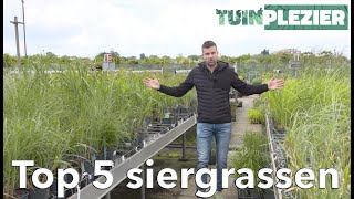 Arjans Top 5 siergrassen  TUINPLEZIER [upl. by Laband]