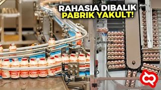 Ternyata Begini Tahap Produksi Yakult Sampai Siap Minum Proses Pabrik Makanan amp Minuman Fermentasi [upl. by Pinsky]