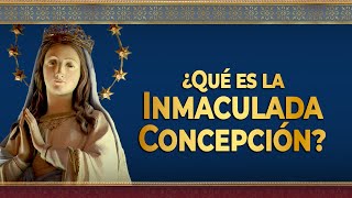 ¿Qué es la INMACULADA Concepción de la Virgen  Dogma mariano inmaculadaconcepción [upl. by Yelruc]