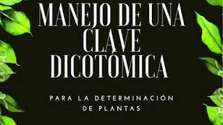 Explicación sobre el uso de clave dicotómica para plantas [upl. by Aynnat]