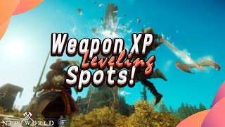 New World  The Best Weapon XP Locations  Weapon Leveling Guide [upl. by Millur]