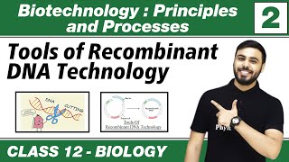 Biotechnology  Principles amp Processes 02  Tools of Recombinant DNA Techonolgy  Class 12th NCERT [upl. by Dolley883]