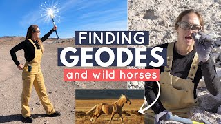 Finding Geodes and Wild Horses in the Desert best day ever Rockhounding the West [upl. by Heinrich742]