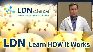 LDNscience® Presents  How LDN Low Dose Naltrexone Works [upl. by Rodrigo676]