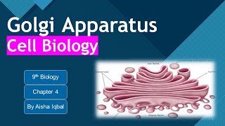 Golgi Apparatus Class 9 [upl. by Olia]