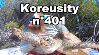 Le Zap De Koreusity n°401 🔥 Les meilleurs vidéos du web 🔥 [upl. by Arv]