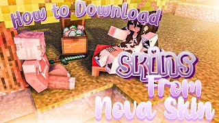 How to download Skins from Nova Skin Aesthetic SkinsMCPE [upl. by Gorrono385]