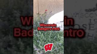 Wisconsin badgers football 2023 intro [upl. by Frayda]