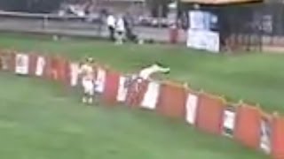 Outfielder leaps over fence for unbelievable catch [upl. by Particia]