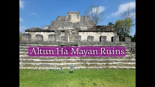 Altun Ha Mayan Ruins [upl. by Carlton]