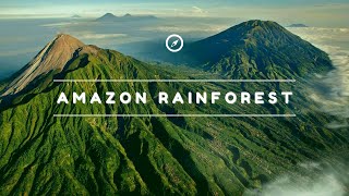 The Amazon Rainforest  Largest forest in the world [upl. by Hayden]