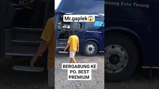 MR GAPLEK ADA DI PO BEST PREMIUM 😱 [upl. by Asiar]