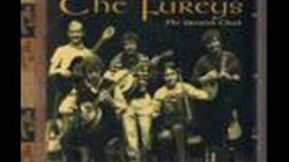 The Fureys When You Were Sweet Sixteen [upl. by Shirberg]