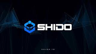 Unlock the Power of Shido Why SHIDO is at the Forefront of DeFi [upl. by Goodden]