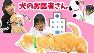 犬のお医者さんごっこ★患者さんがいっぱい★ごっこ遊び★りここ先生★にゃーにゃちゃんねるnyanya channel [upl. by Trebornhoj70]