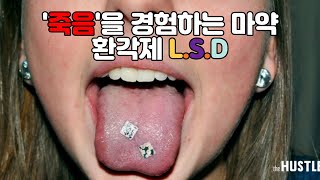 지구에서 가장 강력한 환각제 LSD [upl. by Eillor]