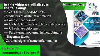 Complement system  Hageman factor [upl. by Nithsa622]