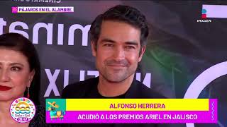 Alfonso Herrera FELIZ por el éxito de RBD ¿Se arrepiente de no estar en el reencuentro [upl. by Herries]