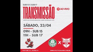 Paulista Sub 17 AC Guaratinguetá x Palmeiras [upl. by Virgilio]