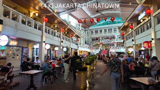 Jakarta Chinatown Glodok Walking Tour  Indonesia 4K [upl. by Jedediah]