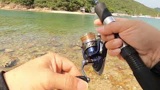 Обзор катушки Daiwa Ninja LT 3000 [upl. by Inod]