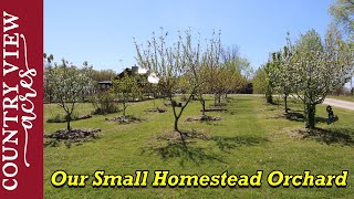 Homestead Orchard Spring Walk Through [upl. by Nikola458]