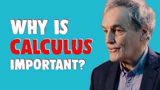 Why is calculus important │ The History of Mathematics with Luc de Brabandère [upl. by Anzovin]