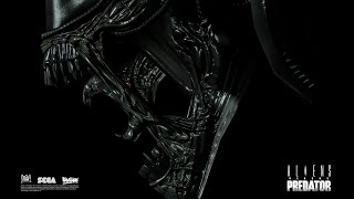 Swedish Knight Playing  Aliens vs Predator 2010  Part 3  Alien [upl. by Nohsyar]