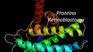 MolBiol La proteína Retinoblastoma y el G1 checkpoint [upl. by Eserrehs]