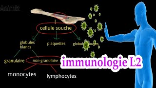 introduction a limmunologie système immunitaire L2 بالعربية [upl. by Pallaton]