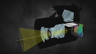 How a DSLR Camera Works [upl. by Sy596]