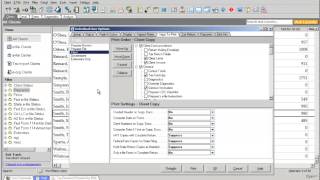 Lacerte Professional Tax Software Program Options and Settings [upl. by Leynwad]