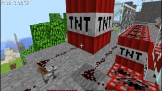 Minecraft Cannon test 8  Miscellaneous Tests [upl. by Pontias243]