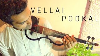 Vellai Pookkal  AR Rahman  STRINGS Cover  Keethan Manoj Ábel Caroline [upl. by Yelah]