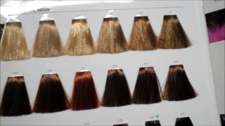 Learn hair tones and neutralising colours with the colour star theory [upl. by Abram]